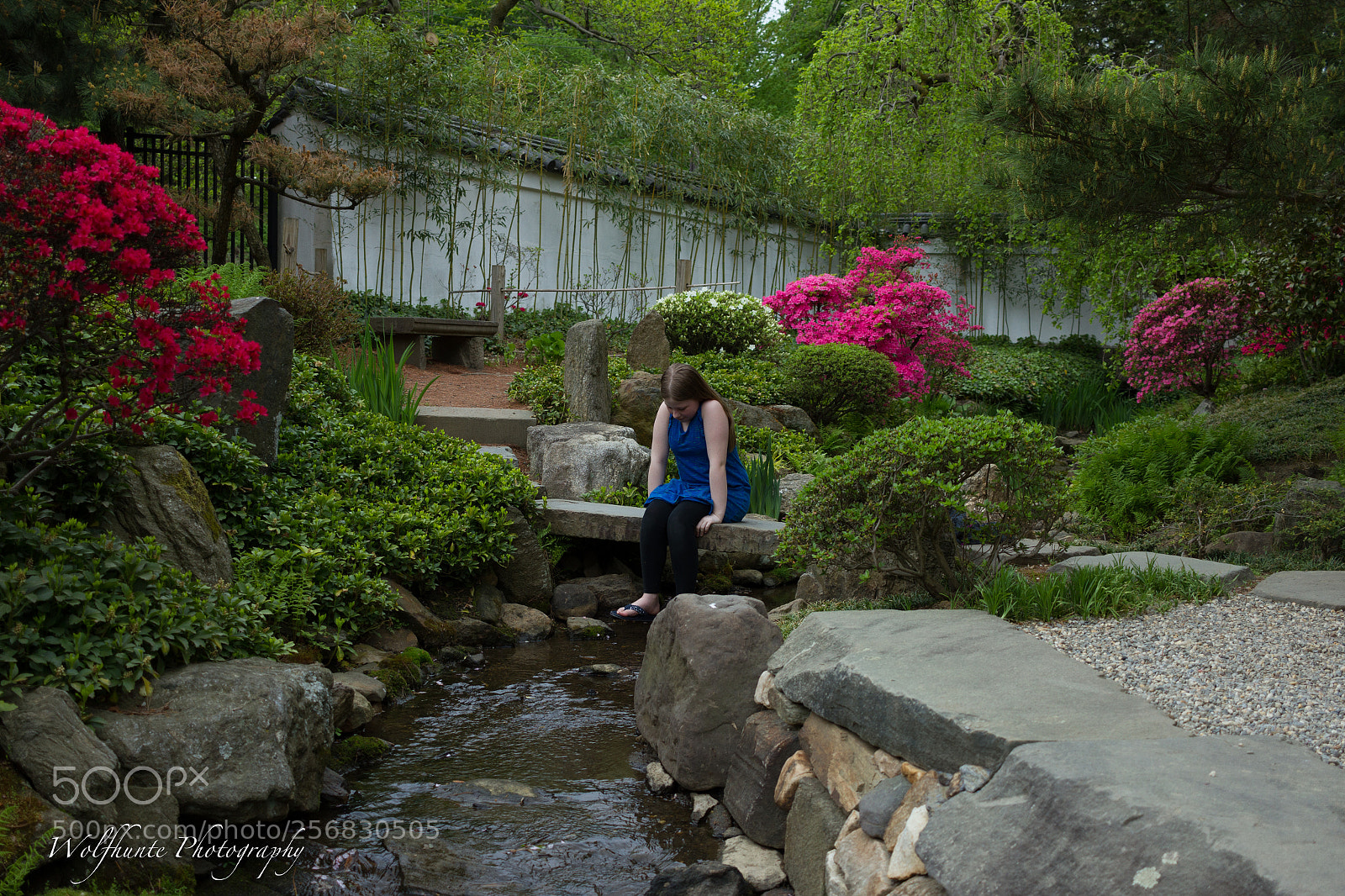 Canon EOS 7D sample photo. Deep thoughts.... photography