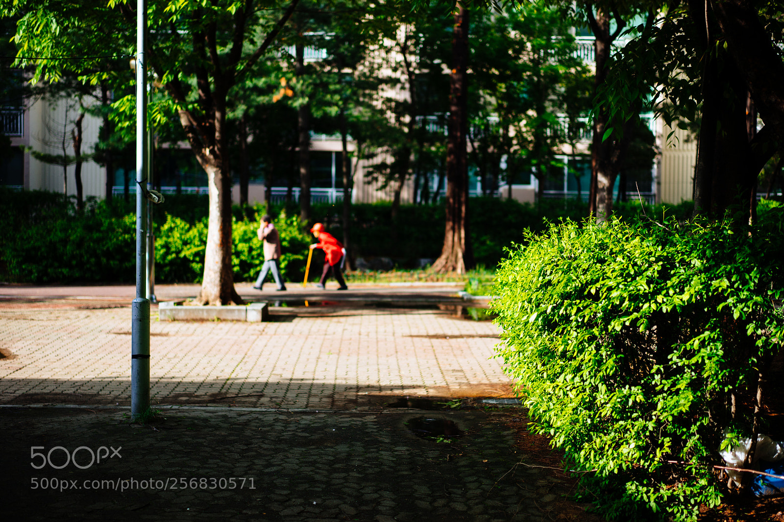 Sony a7 sample photo. Dsc03966-1.jpg photography