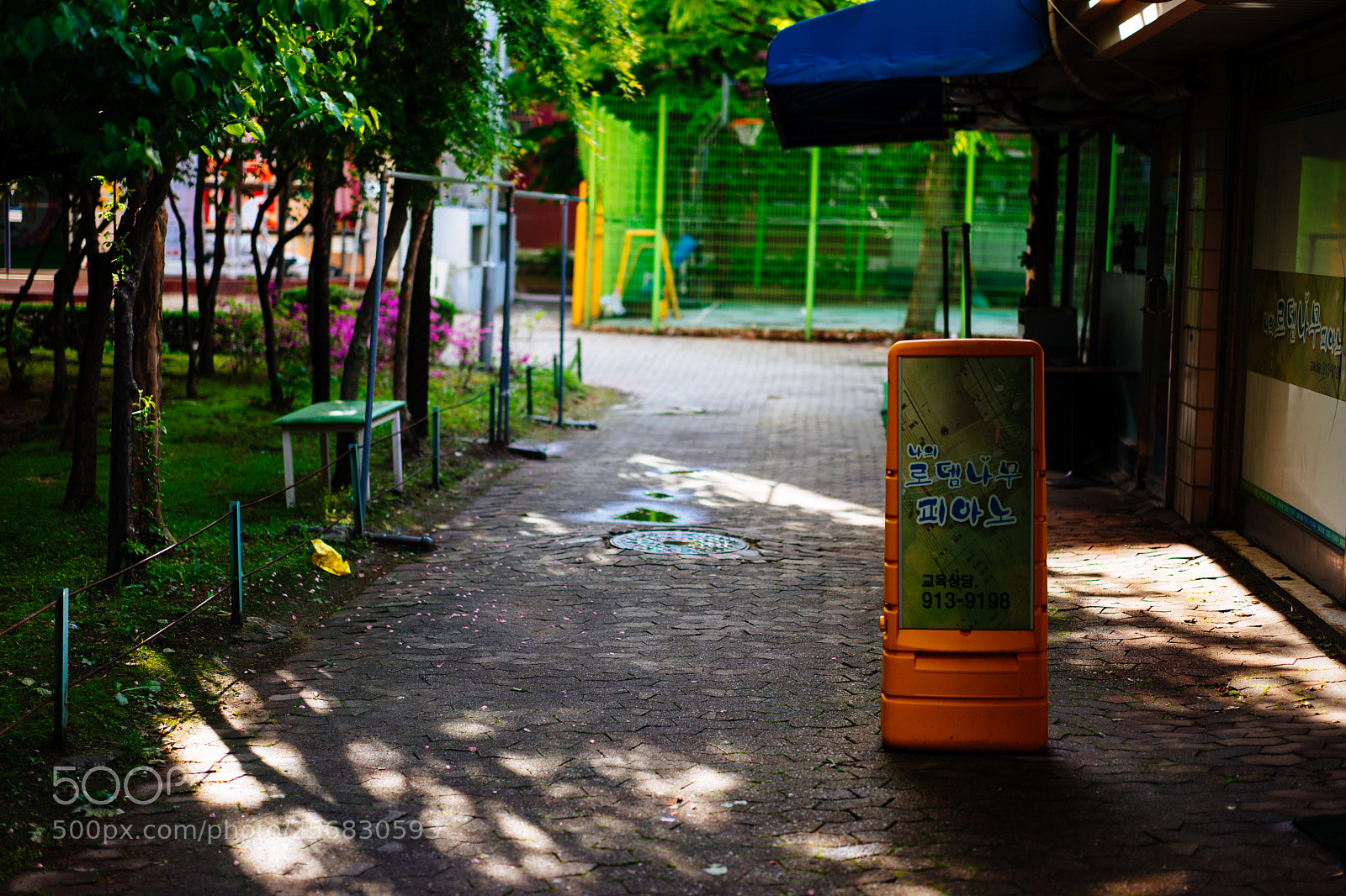 Sony a7 sample photo. Dsc03981-1.jpg photography