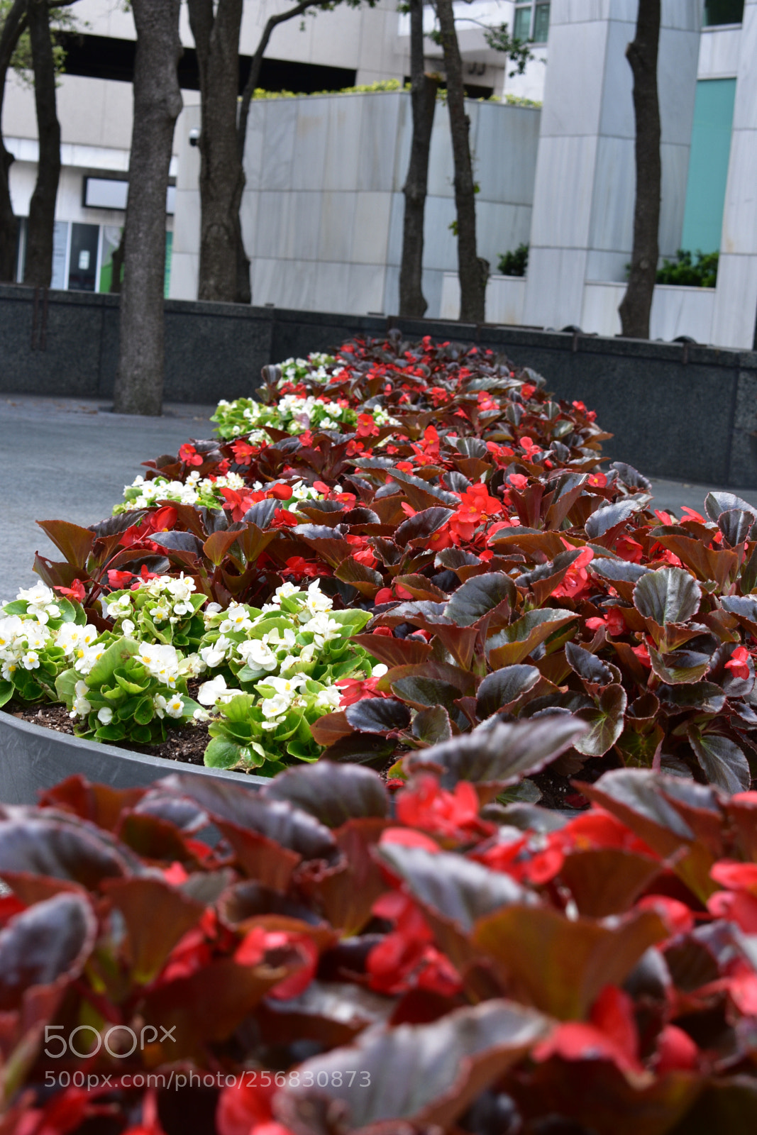 Nikon D3400 sample photo. Msk photography