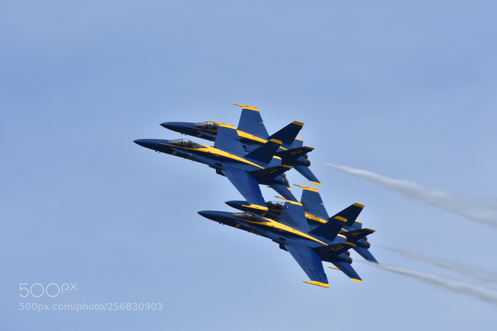 Nikon D3400 sample photo. Blue angles photography