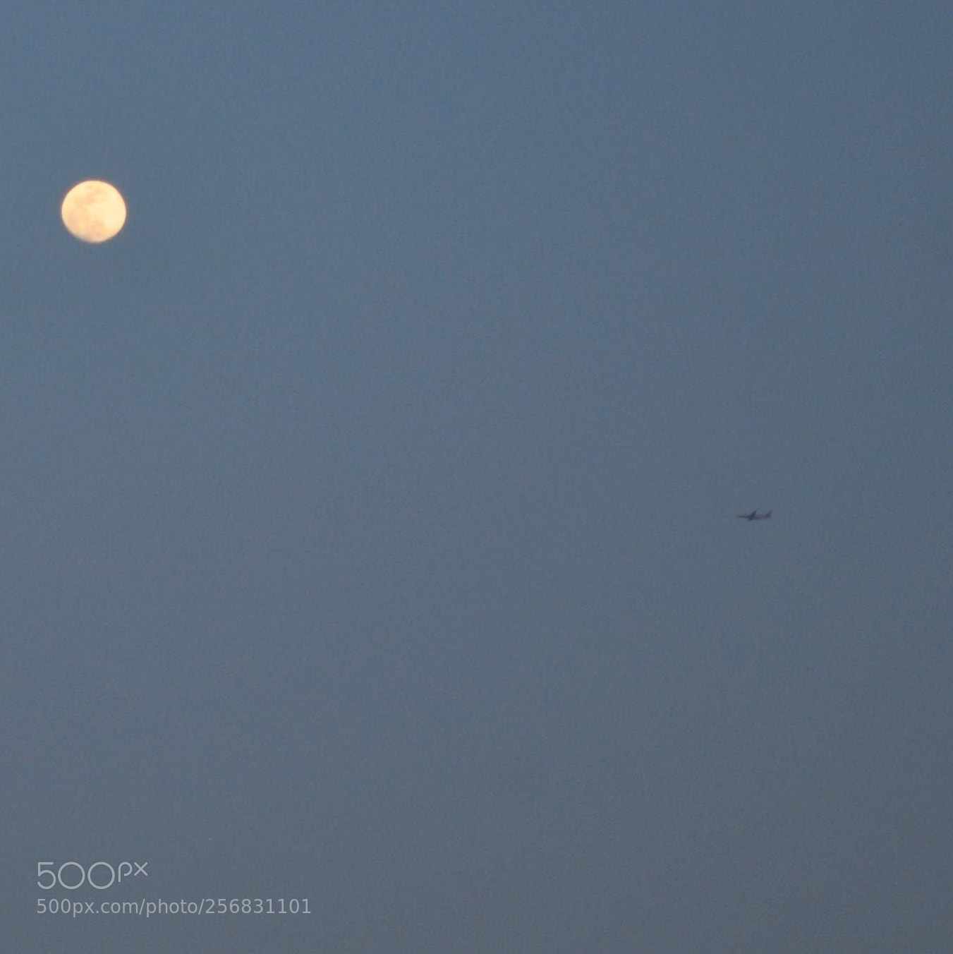 Nikon D5000 sample photo. Untitled photography