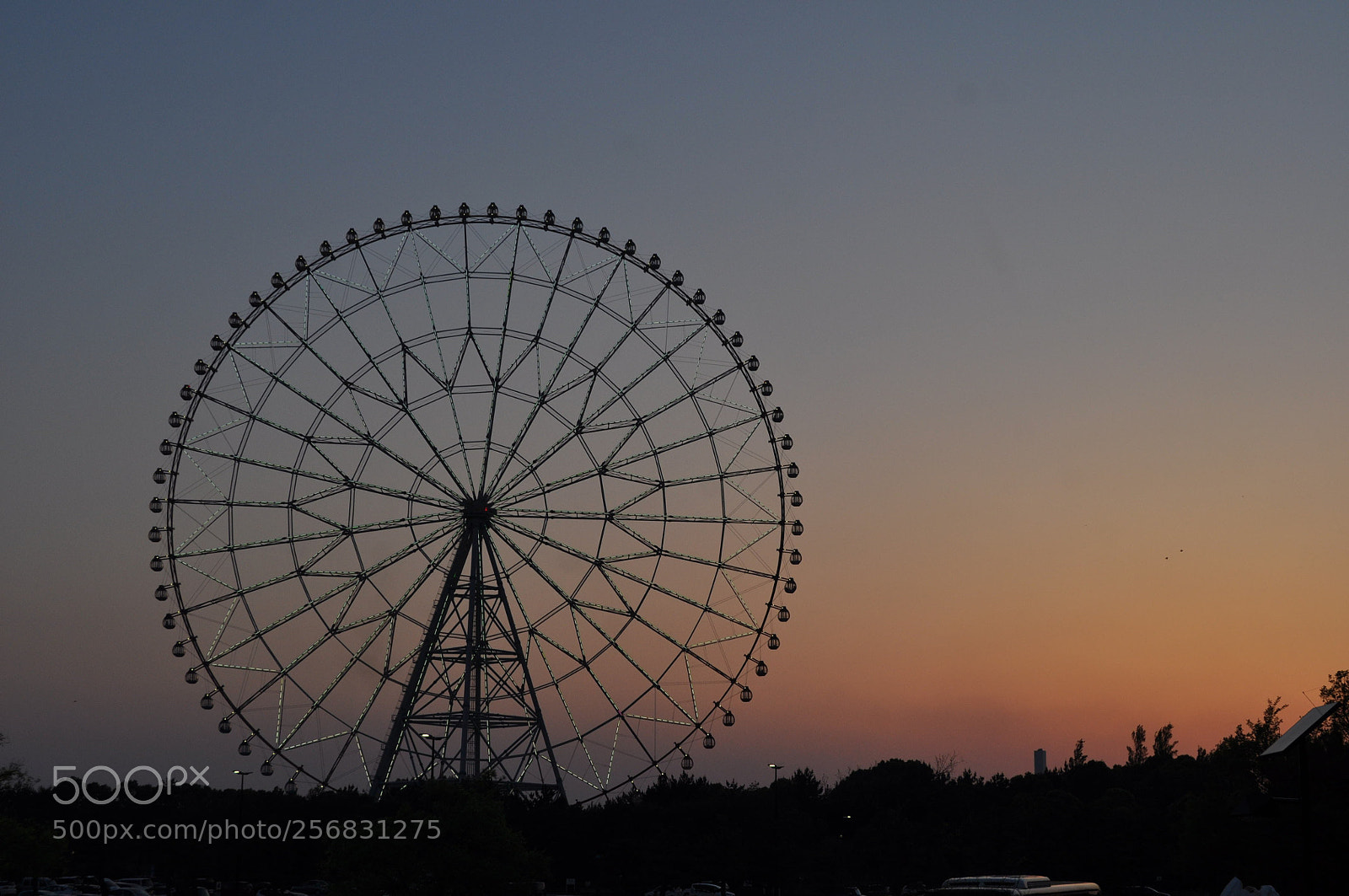 Nikon D5000 sample photo. Untitled photography