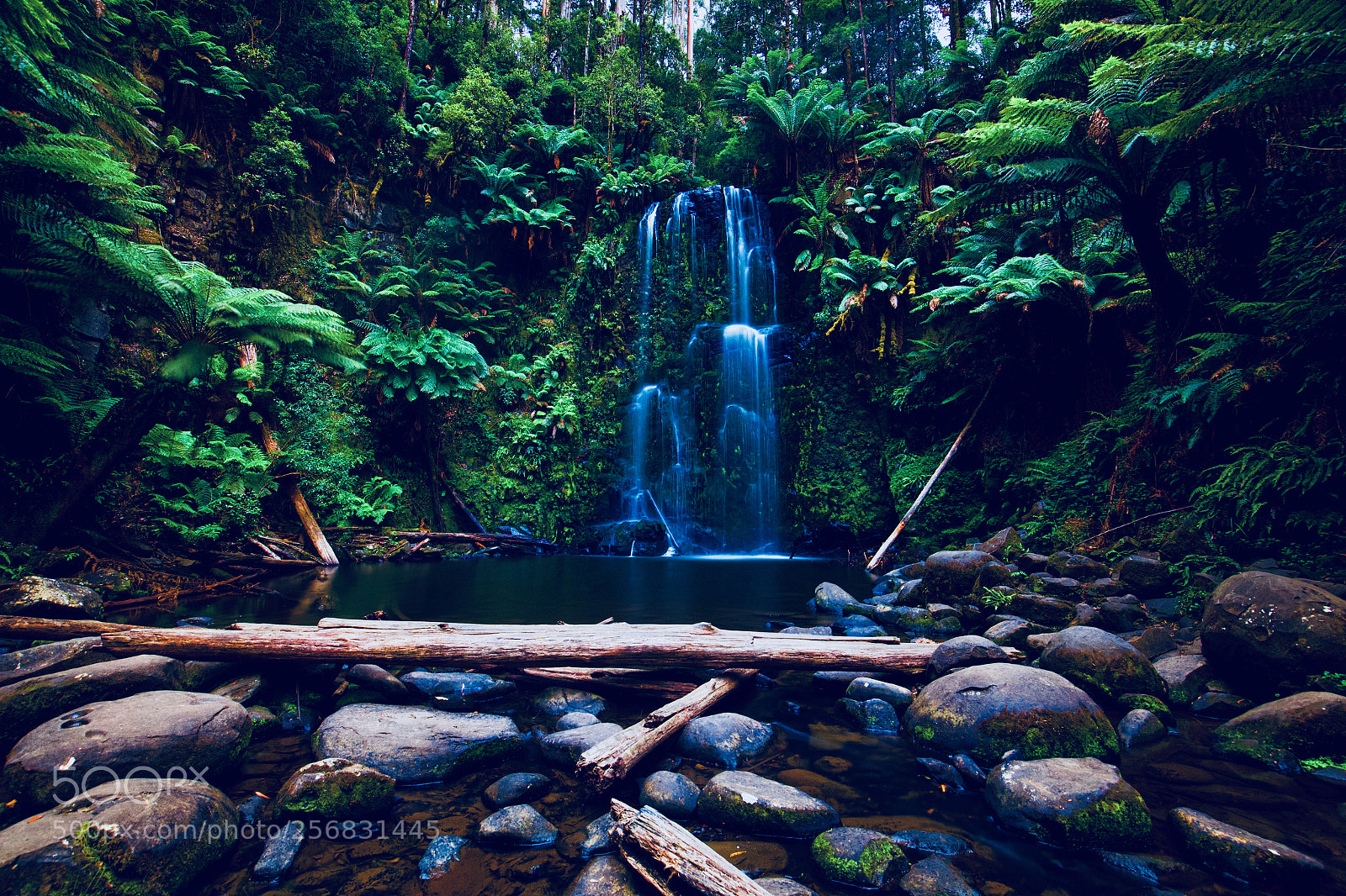Canon EOS 6D sample photo. Beauchamp falls photography