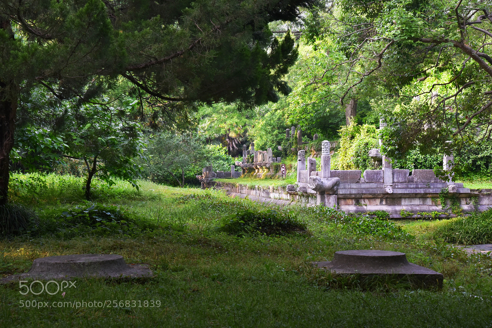 Nikon D750 sample photo. 过往 photography