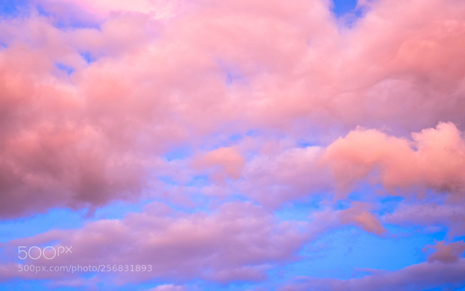Nikon D3300 sample photo. Sky photography