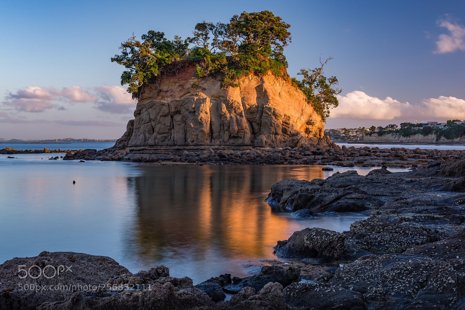 Nikon D610 sample photo. The tor photography