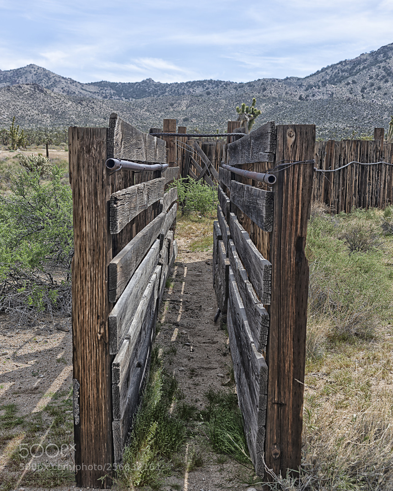 Nikon D800 sample photo. Cattle gate photography