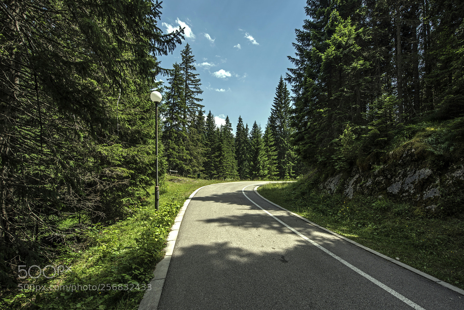 Nikon D810 sample photo. Road photography