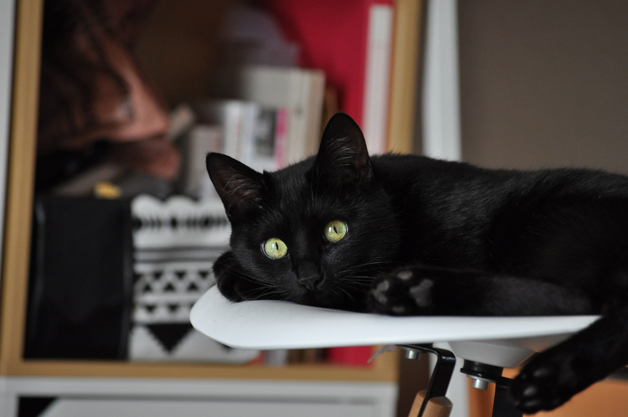Nikon D5000 sample photo. Untitled photography