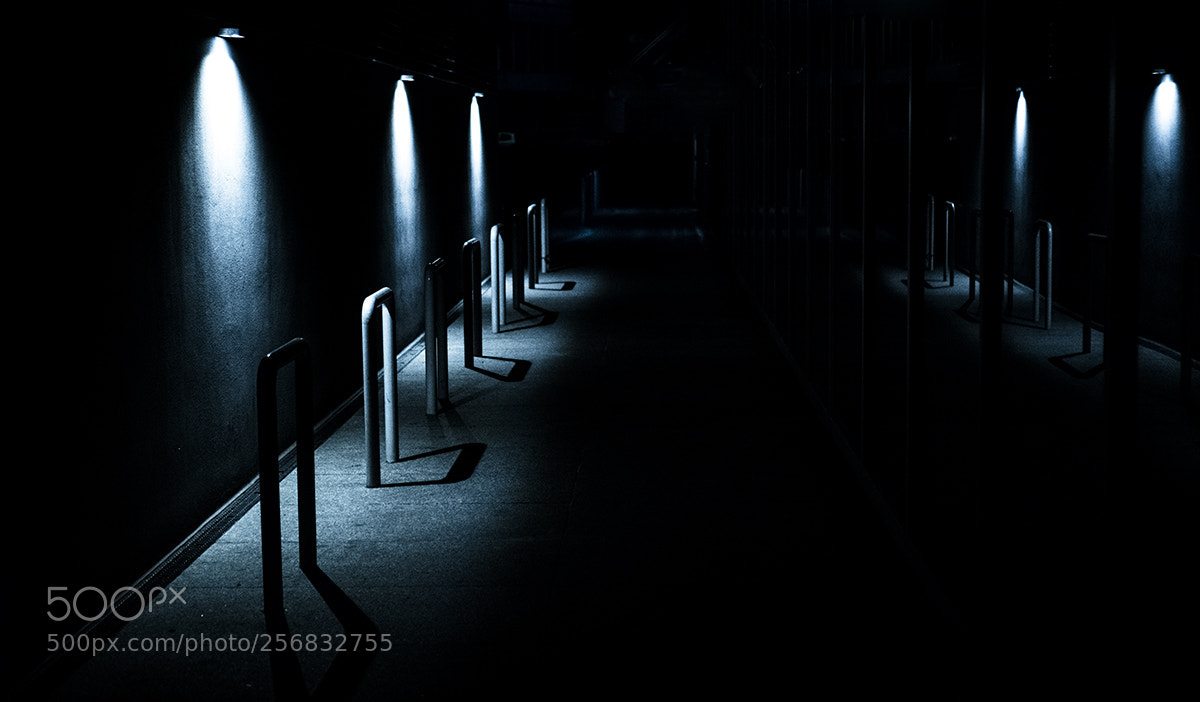 Sony a6300 sample photo. Barriers photography