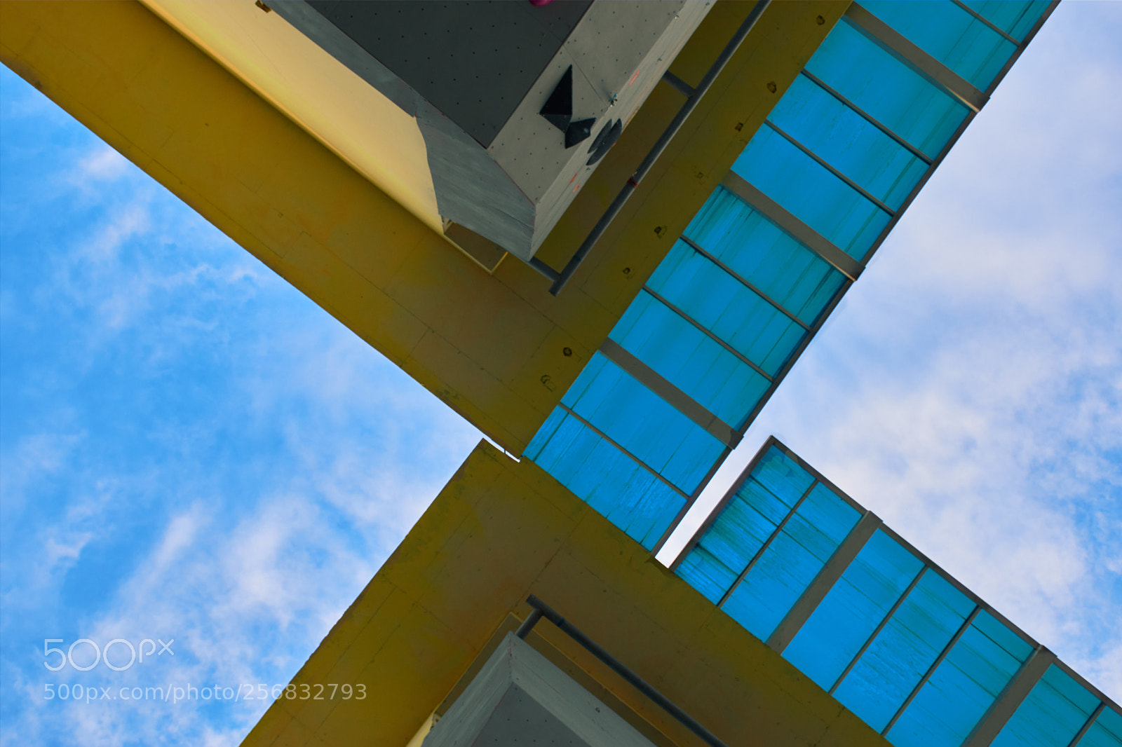 Nikon D5600 sample photo. Blue photography