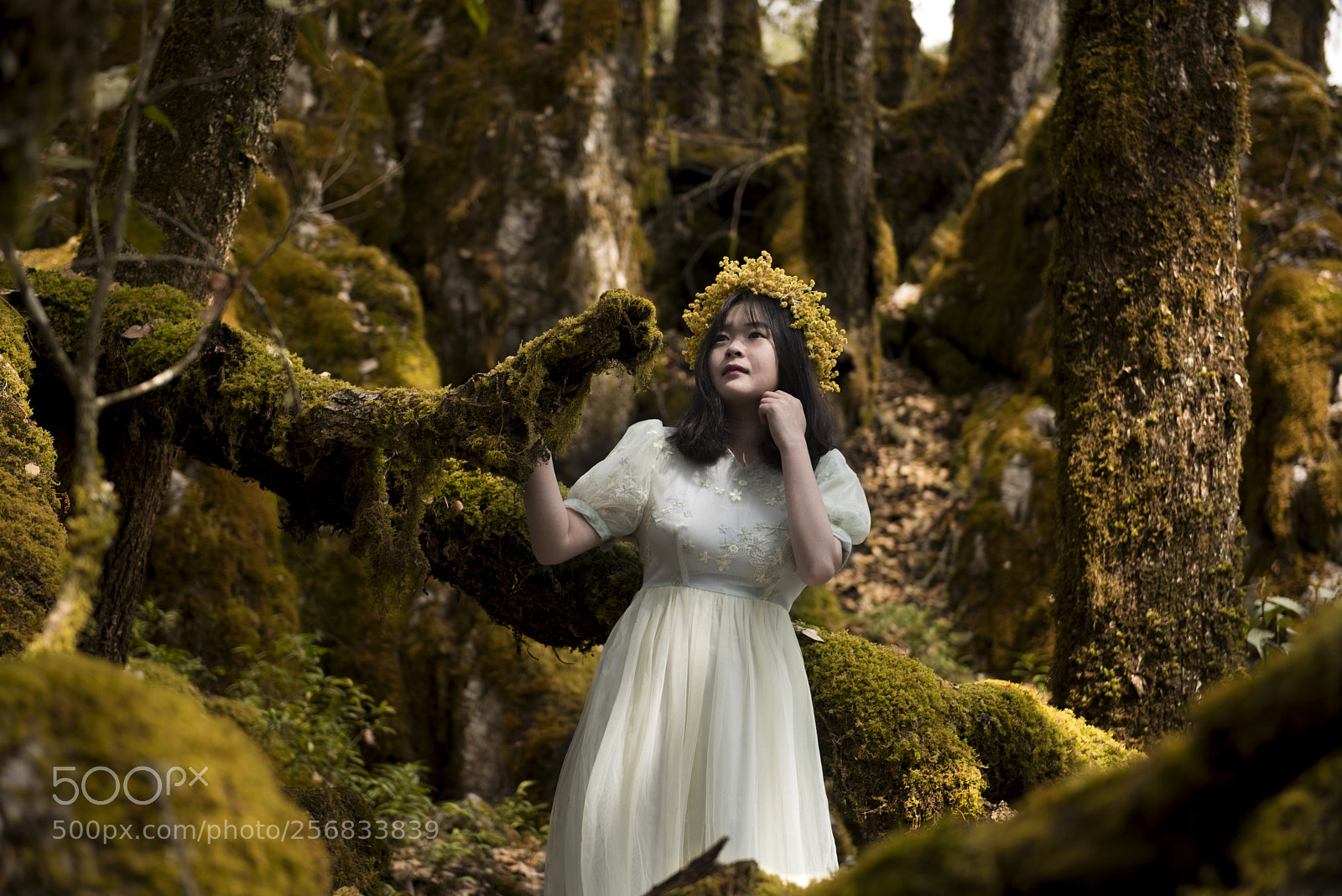 Nikon D810 sample photo. Fairyland photography