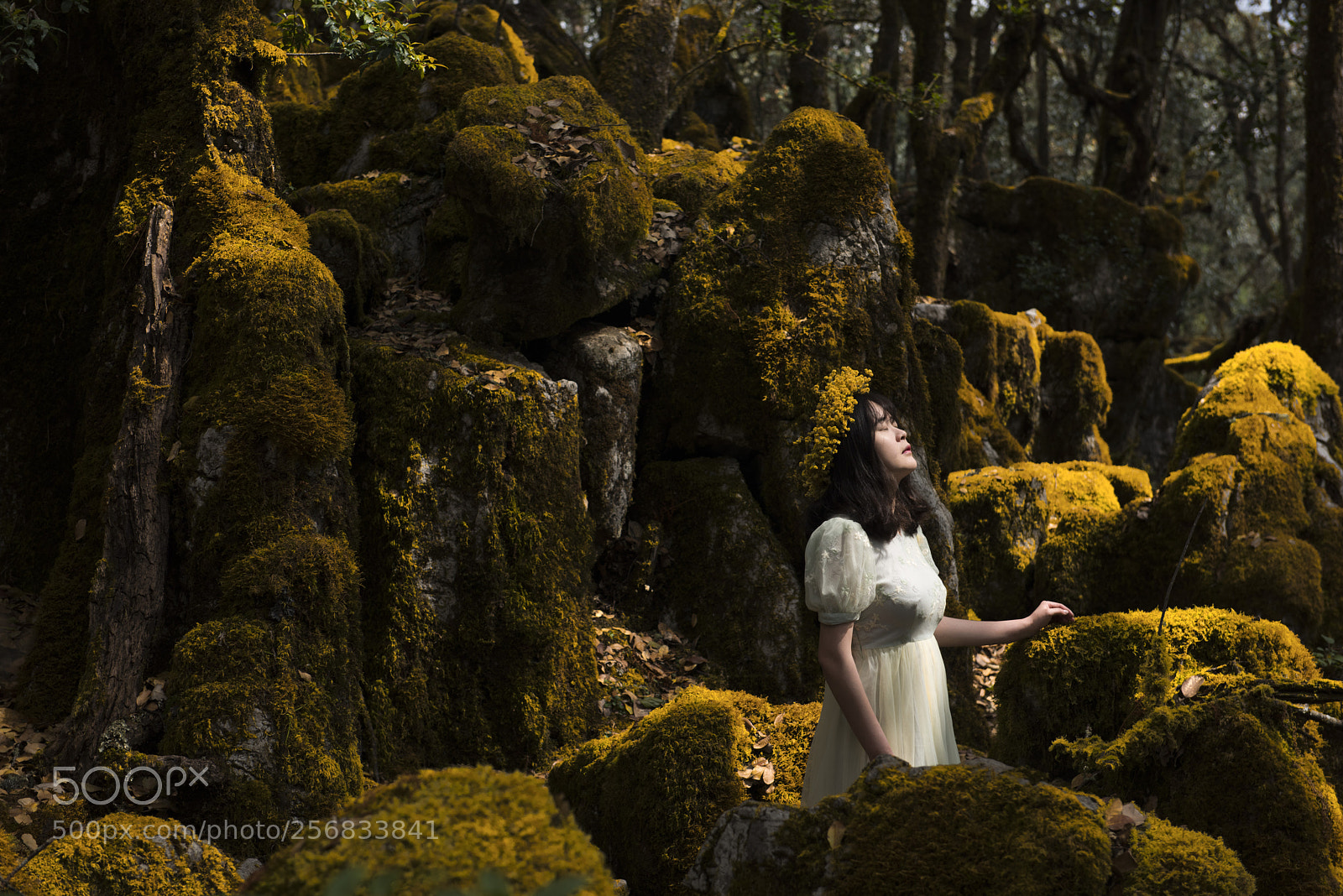 Nikon D810 sample photo. Fairyland photography
