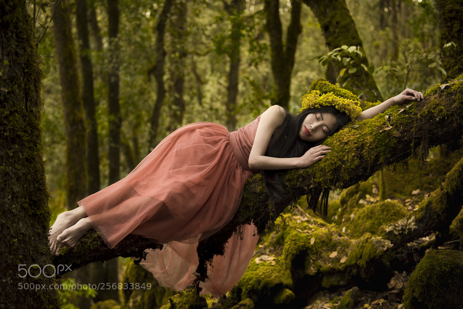 Nikon D810 sample photo. Fairyland photography