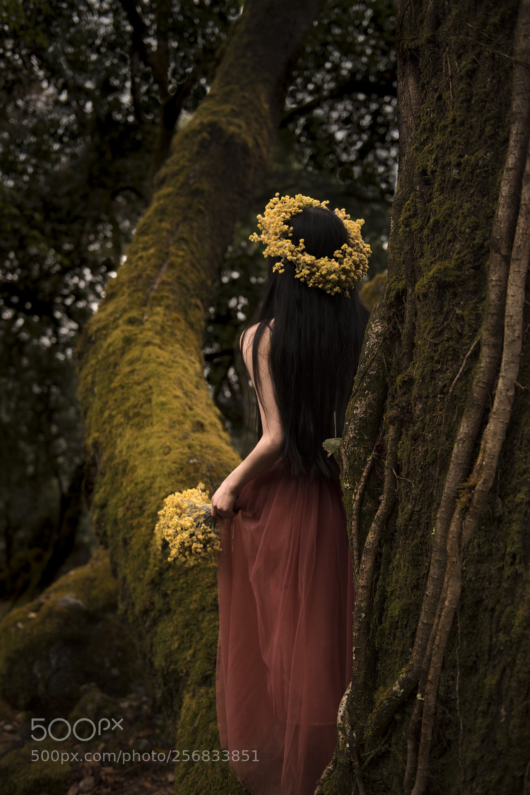 Nikon D810 sample photo. Fairyland photography