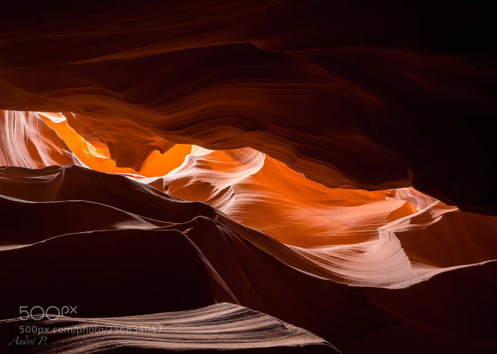 Sony a7R III sample photo. Antelope light photography