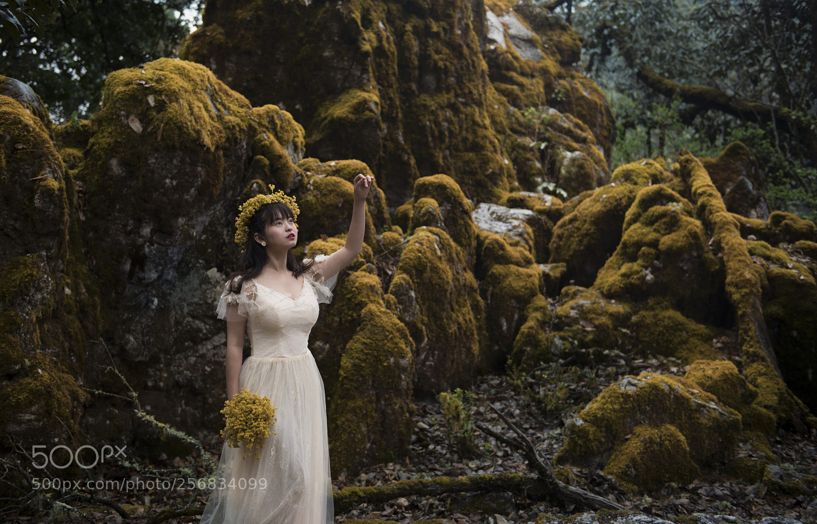 Nikon D810 sample photo. Fairyland photography