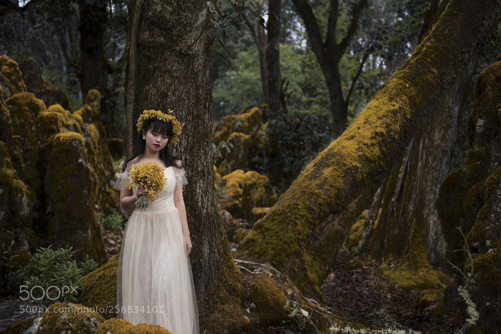 Nikon D810 sample photo. Fairyland photography