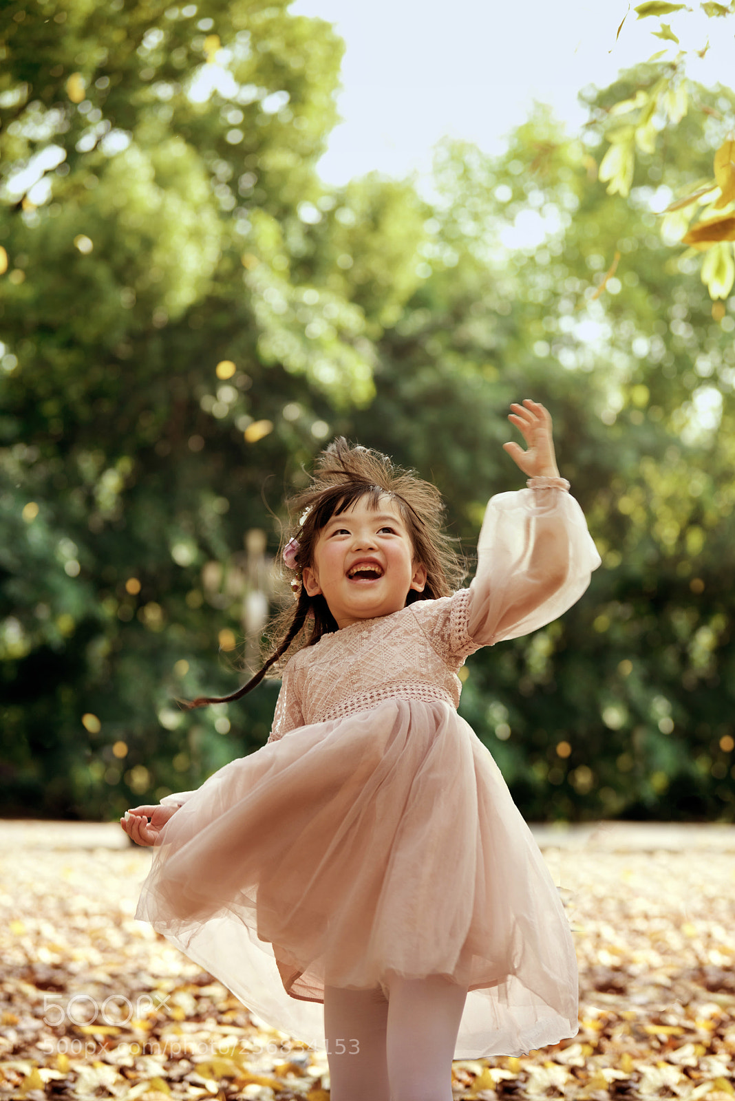Nikon D810 sample photo. In the sunshine photography