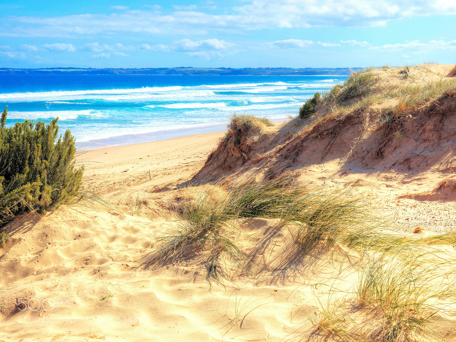 Olympus OM-D E-M1 sample photo. Through the dunes! photography