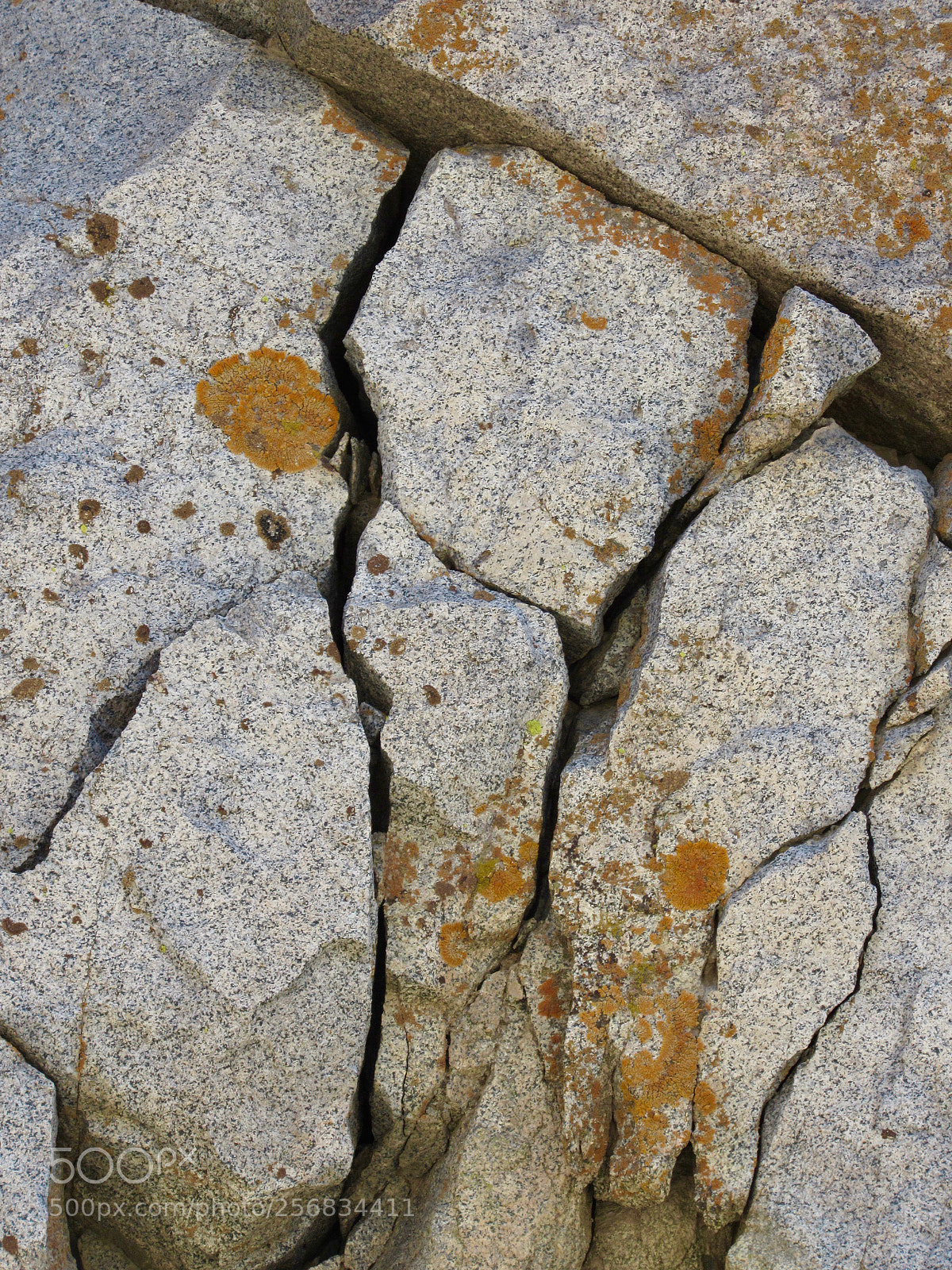 Canon PowerShot SX530 HS sample photo. Rocks and lichen photography