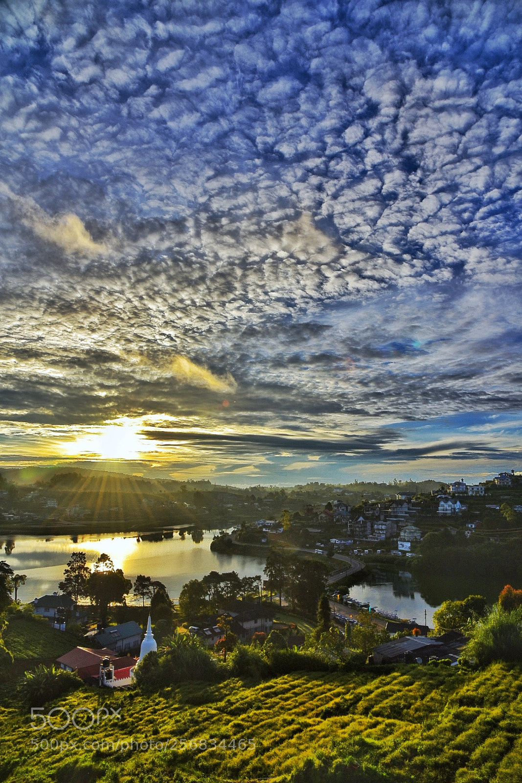Nikon D750 sample photo. Sunrise on monday photography