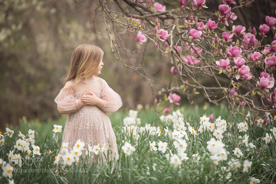 Nikon D600 sample photo. Spring bloom photography