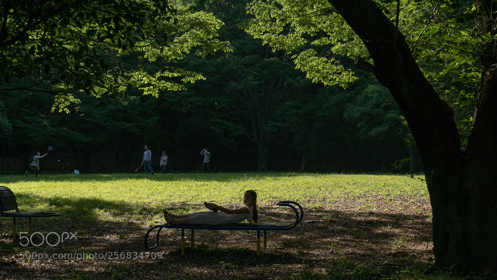 Panasonic Lumix DMC-FZ1000 sample photo. 緑陰 photography