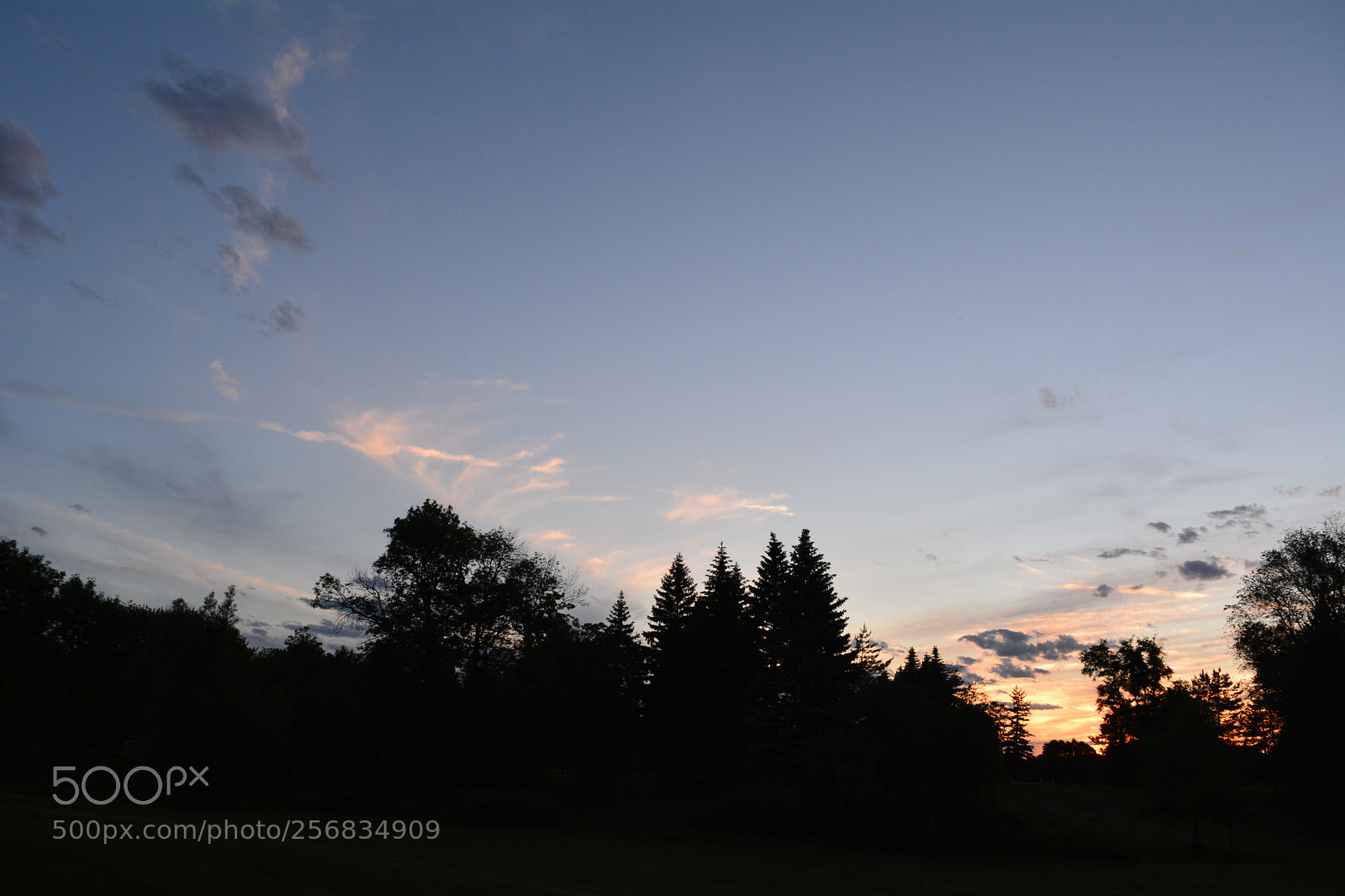 Nikon D5200 sample photo. Fire sky photography