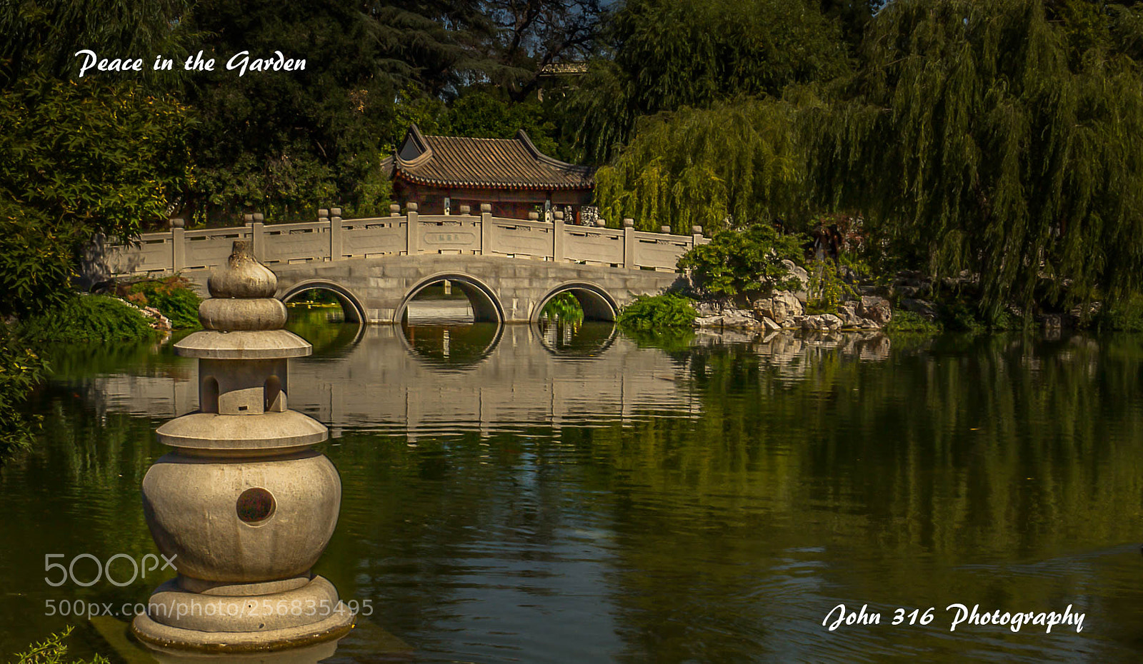 Canon EOS 60D sample photo. Peace photography