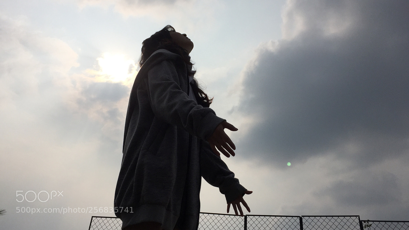 Apple iPhone 6 sample photo. Untitled photography