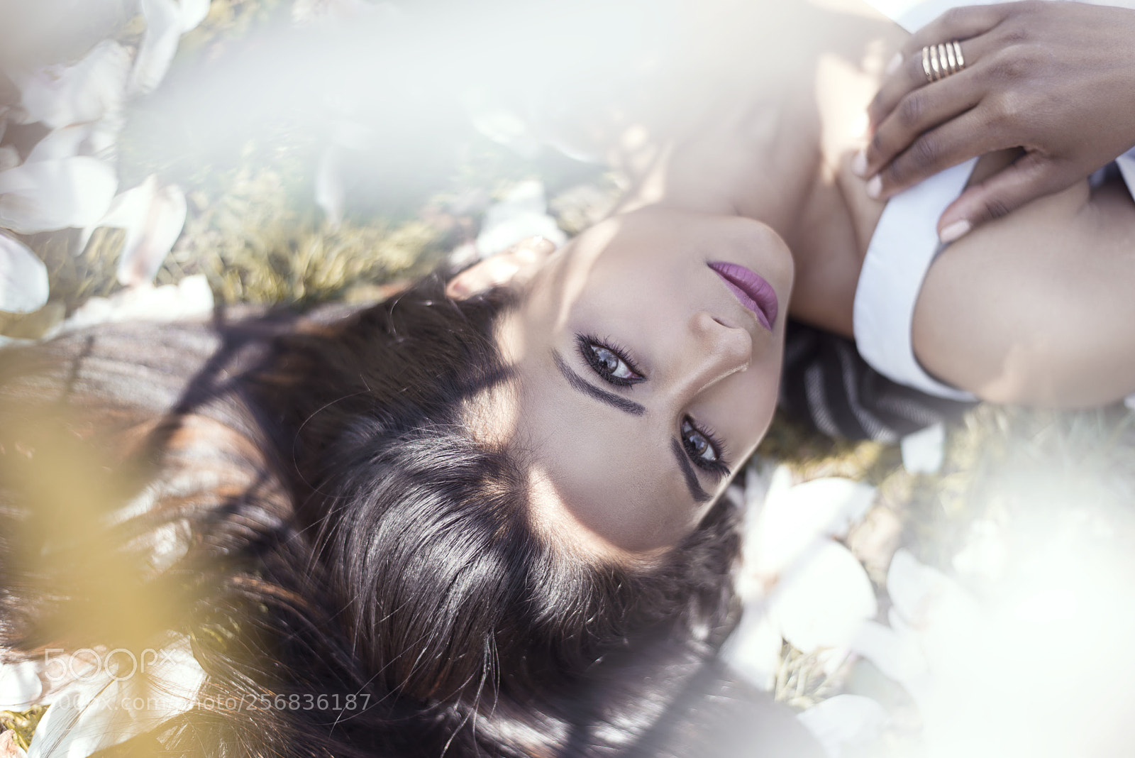 Nikon D800 sample photo. Untitled photography