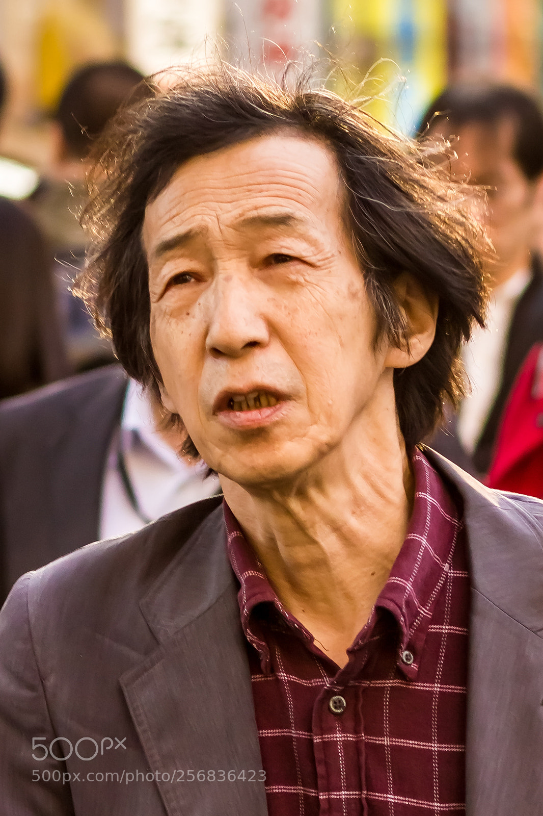 Canon EOS 550D (EOS Rebel T2i / EOS Kiss X4) sample photo. Akihabara pedestrian photography