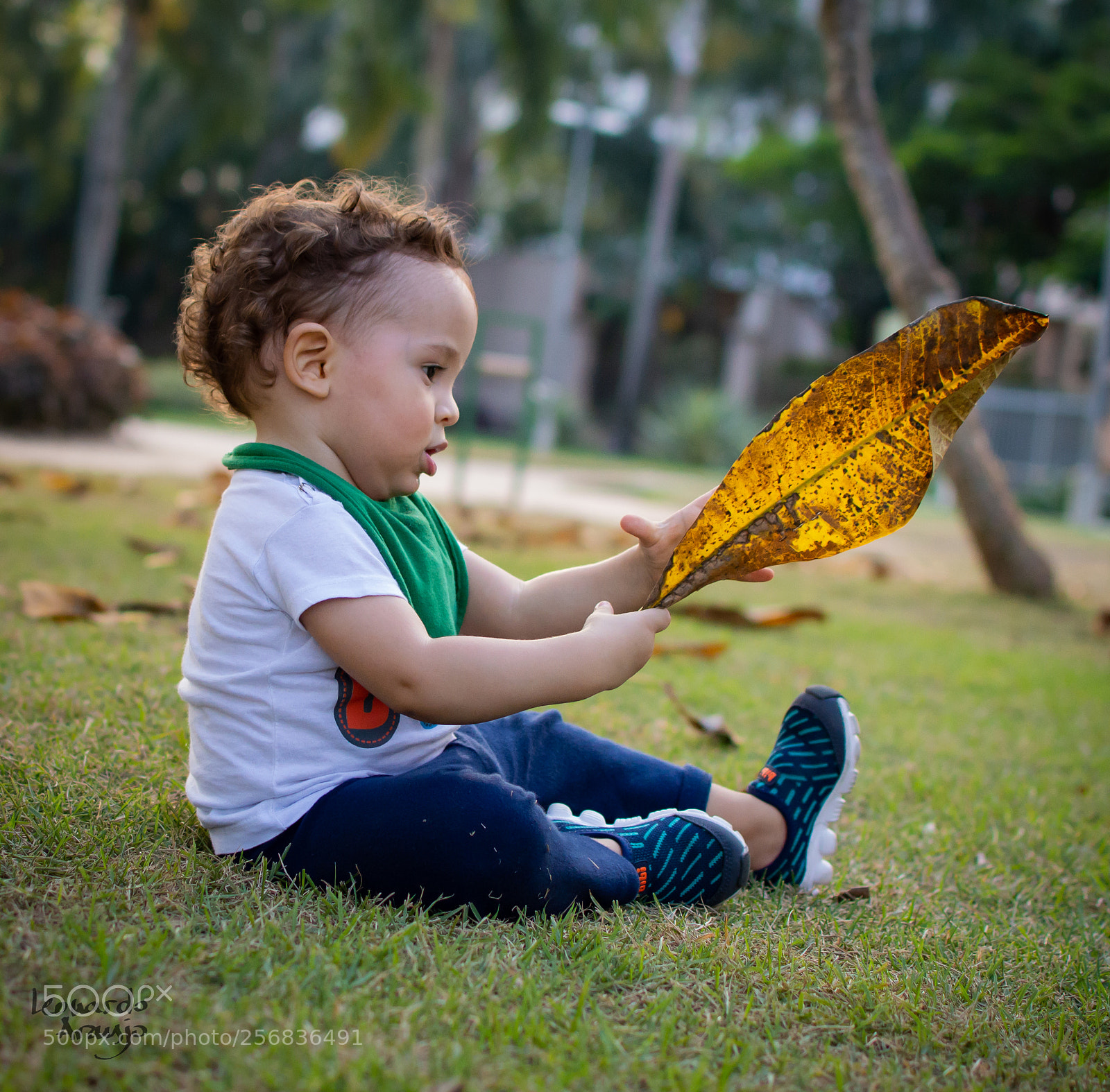 Nikon D3200 sample photo. Discoveries photography