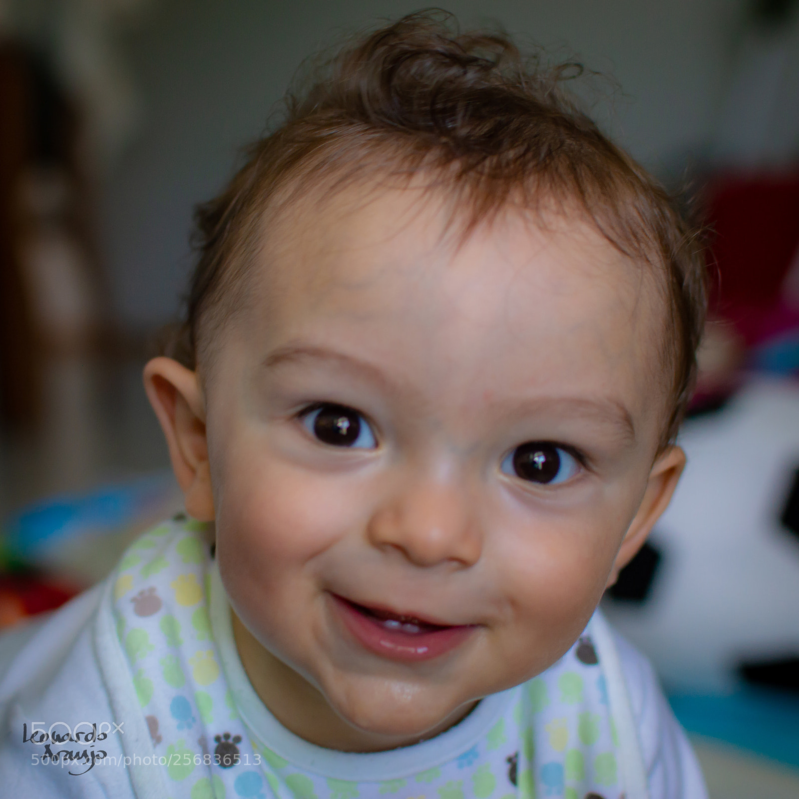 Nikon D3200 sample photo. Curiosity photography