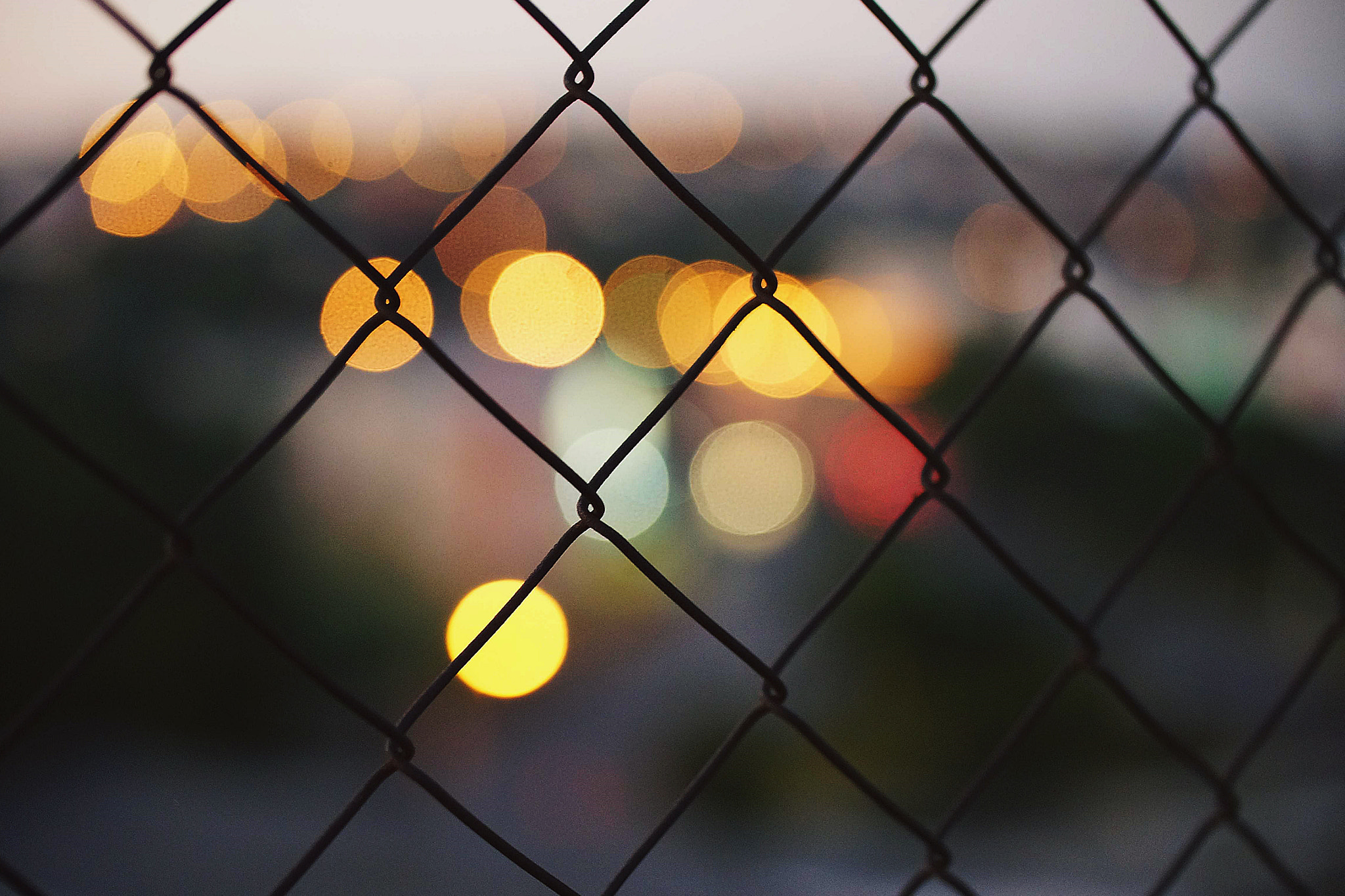 Sony a99 II + Tamron Lens (255) sample photo. Bokeh photography