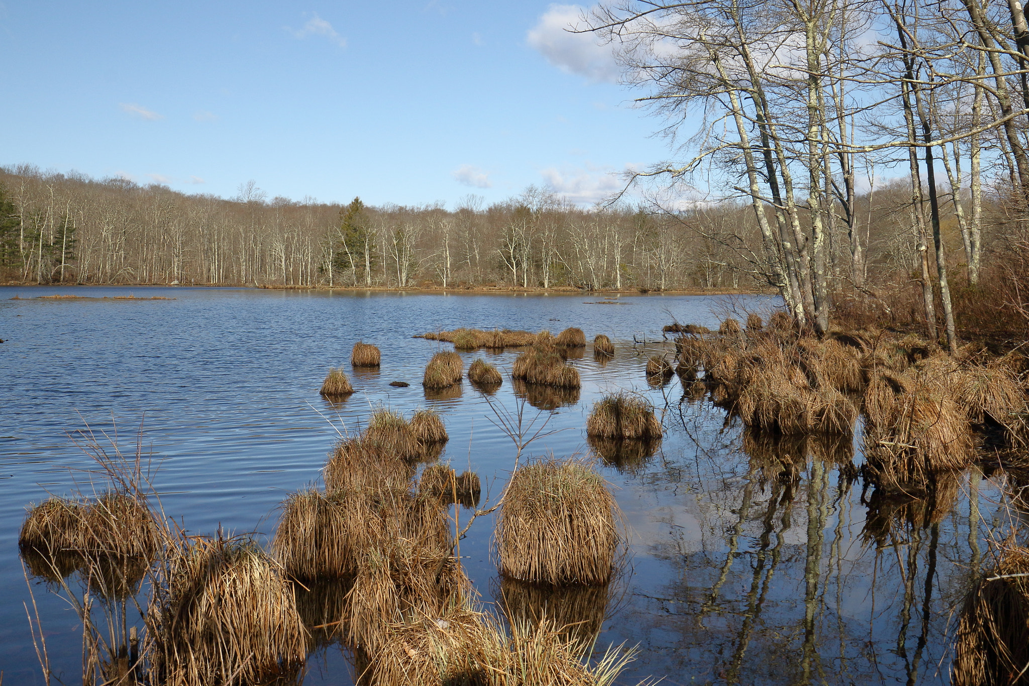 Canon EF 16-35mm F4L IS USM sample photo. Blue pond photography
