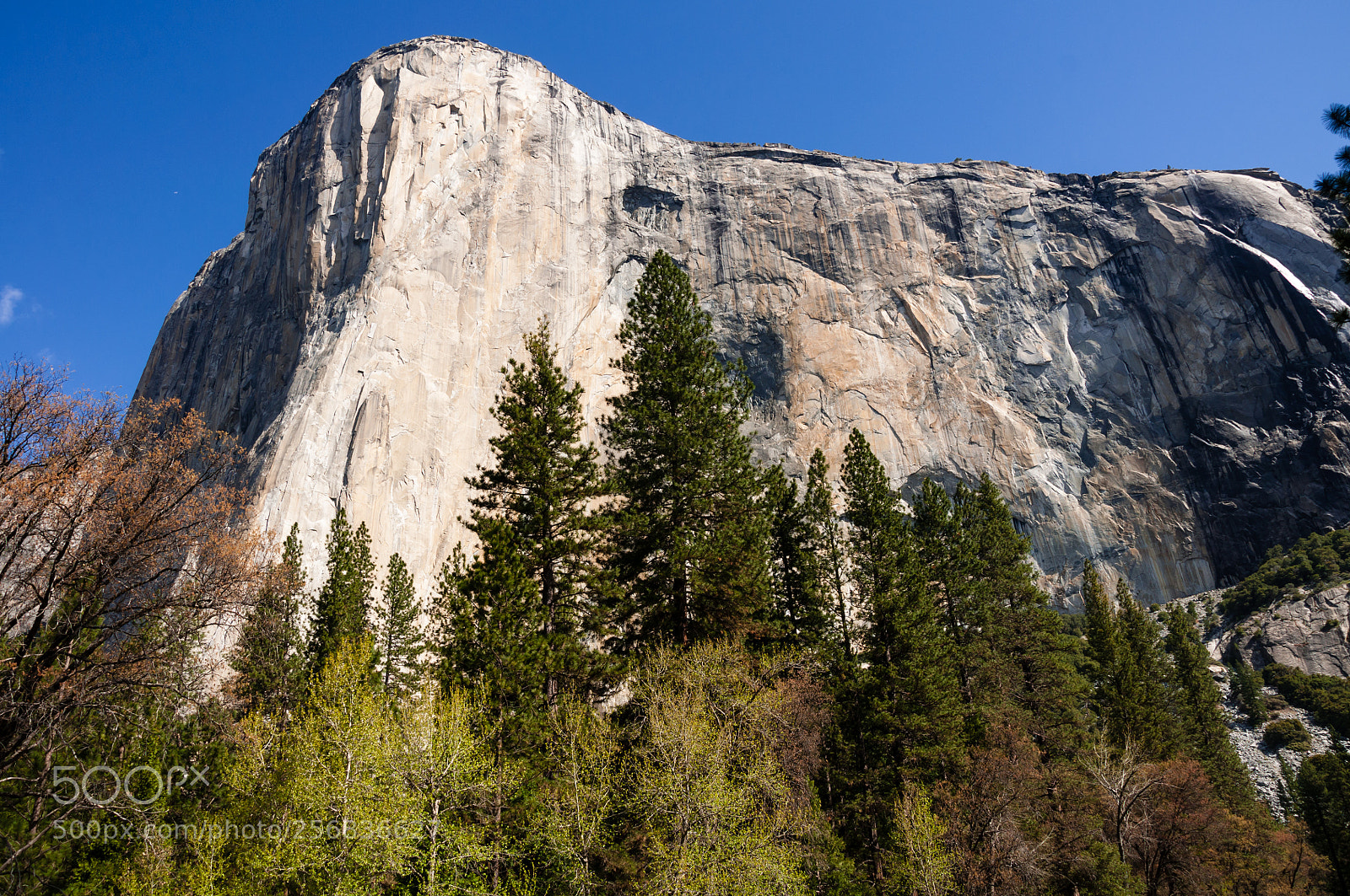 Nikon D90 sample photo. El capitan photography