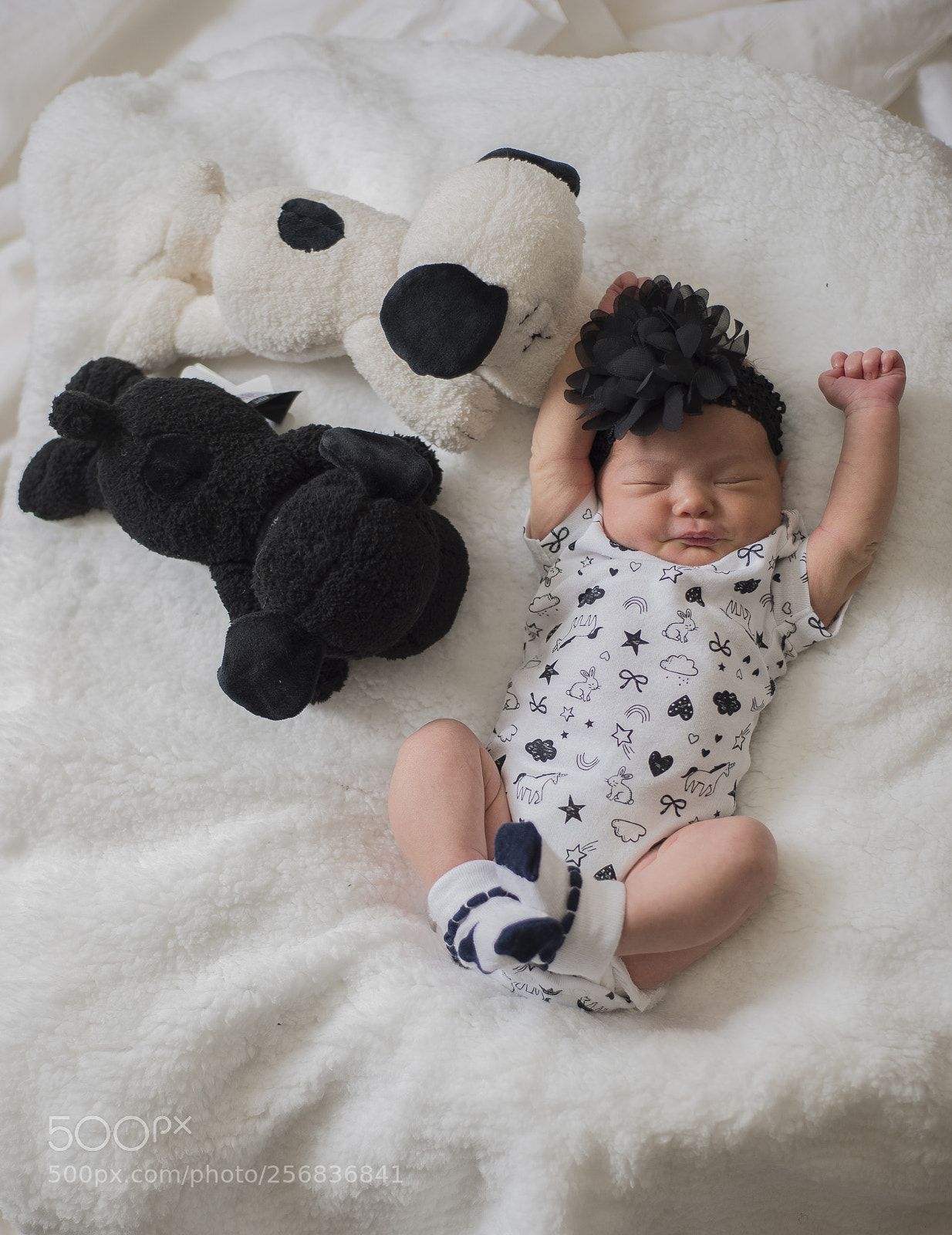 Nikon D800 sample photo. Nadia photography