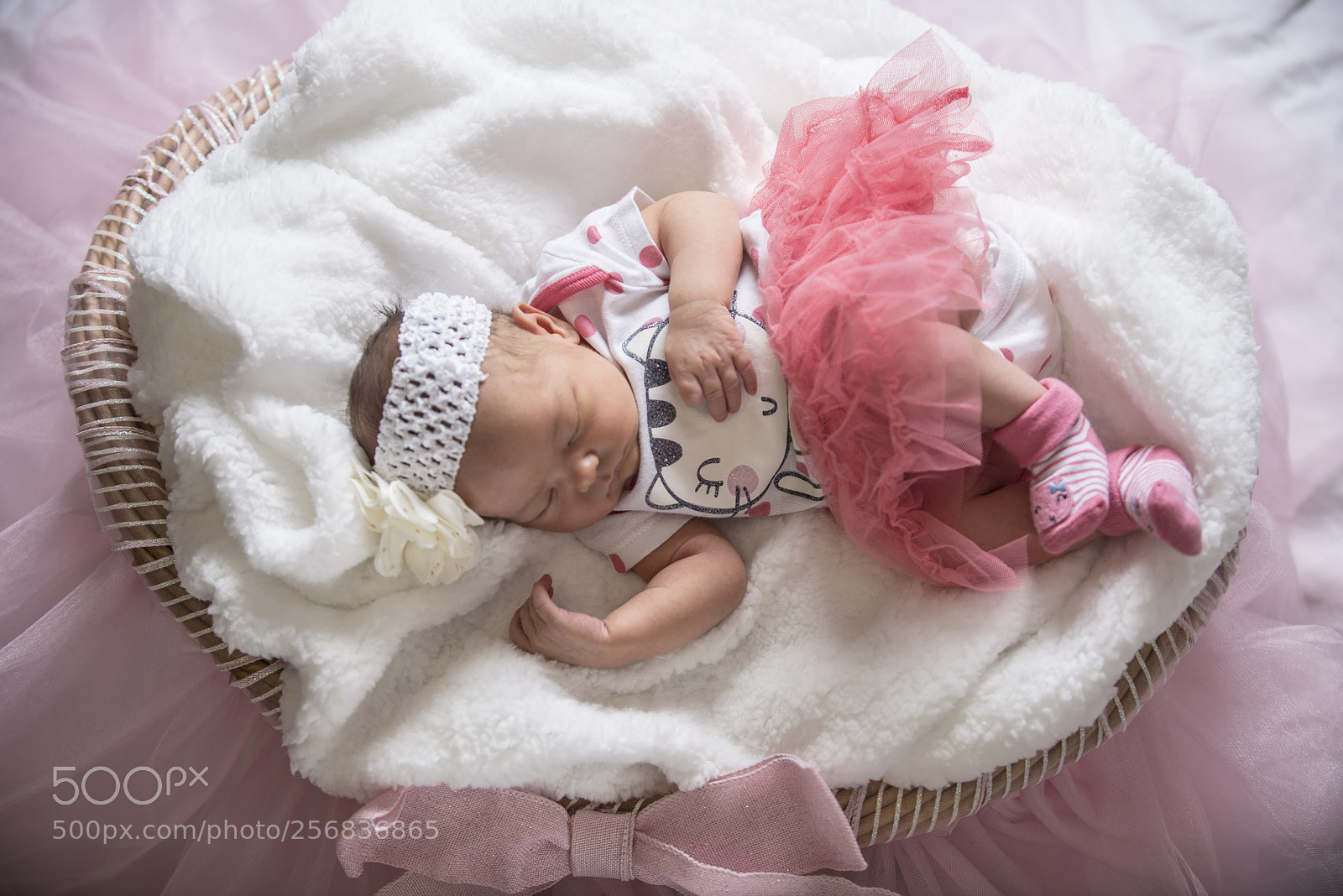 Nikon D800 sample photo. Nadia cradle photography