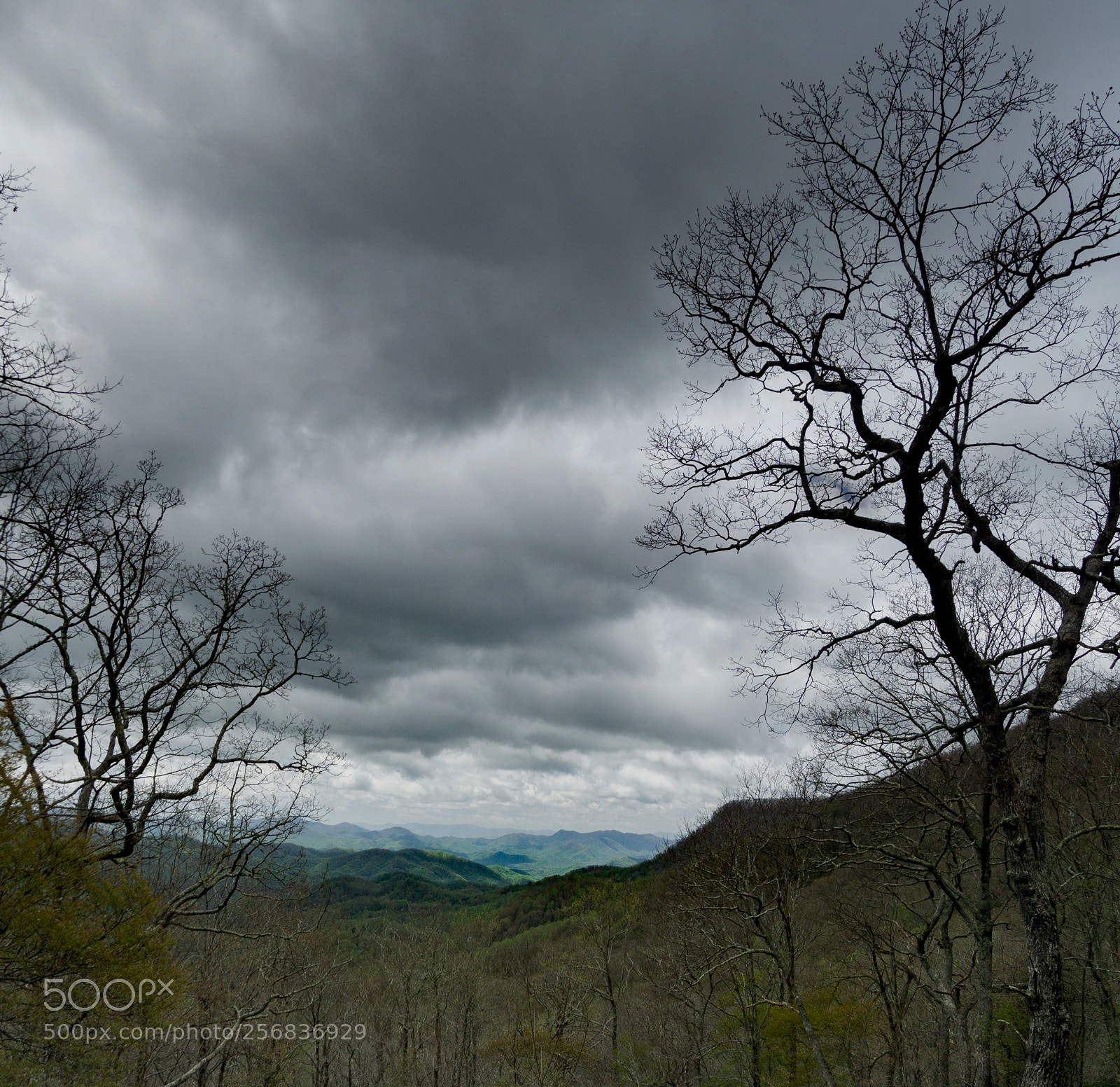 Sony a6000 sample photo. Overlook; blue ridge parkway photography