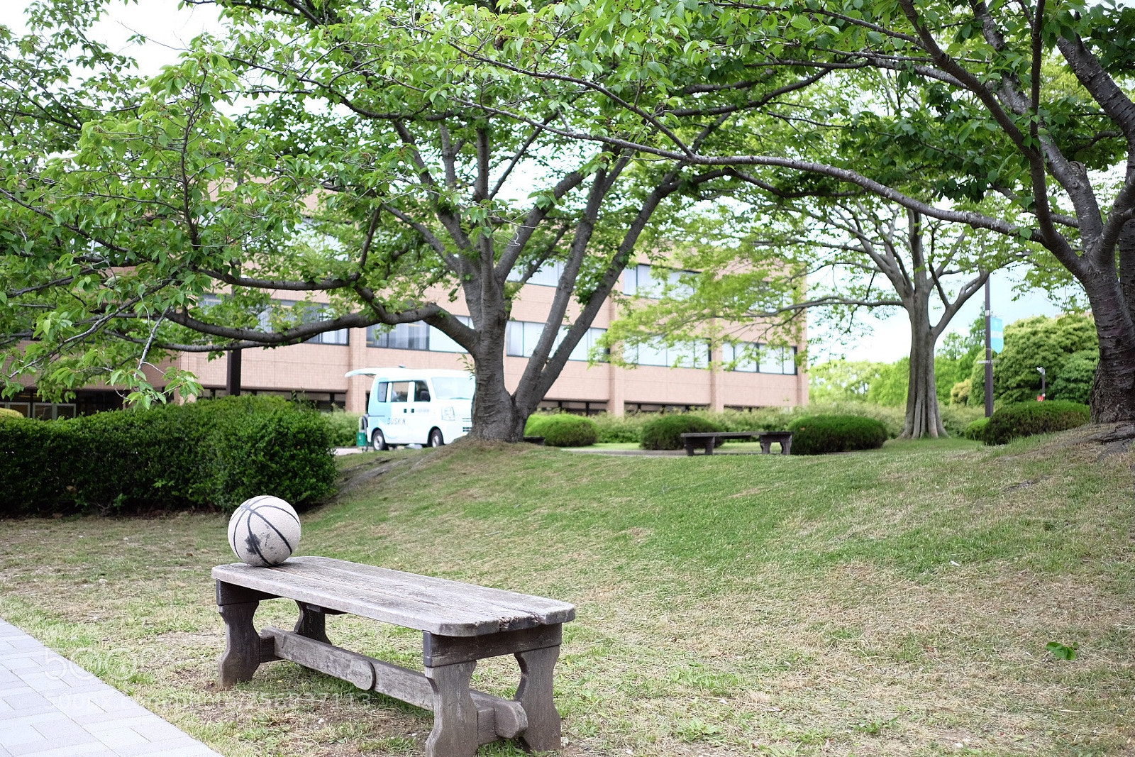 Fujifilm X-E2 sample photo. Golden ratio? photography