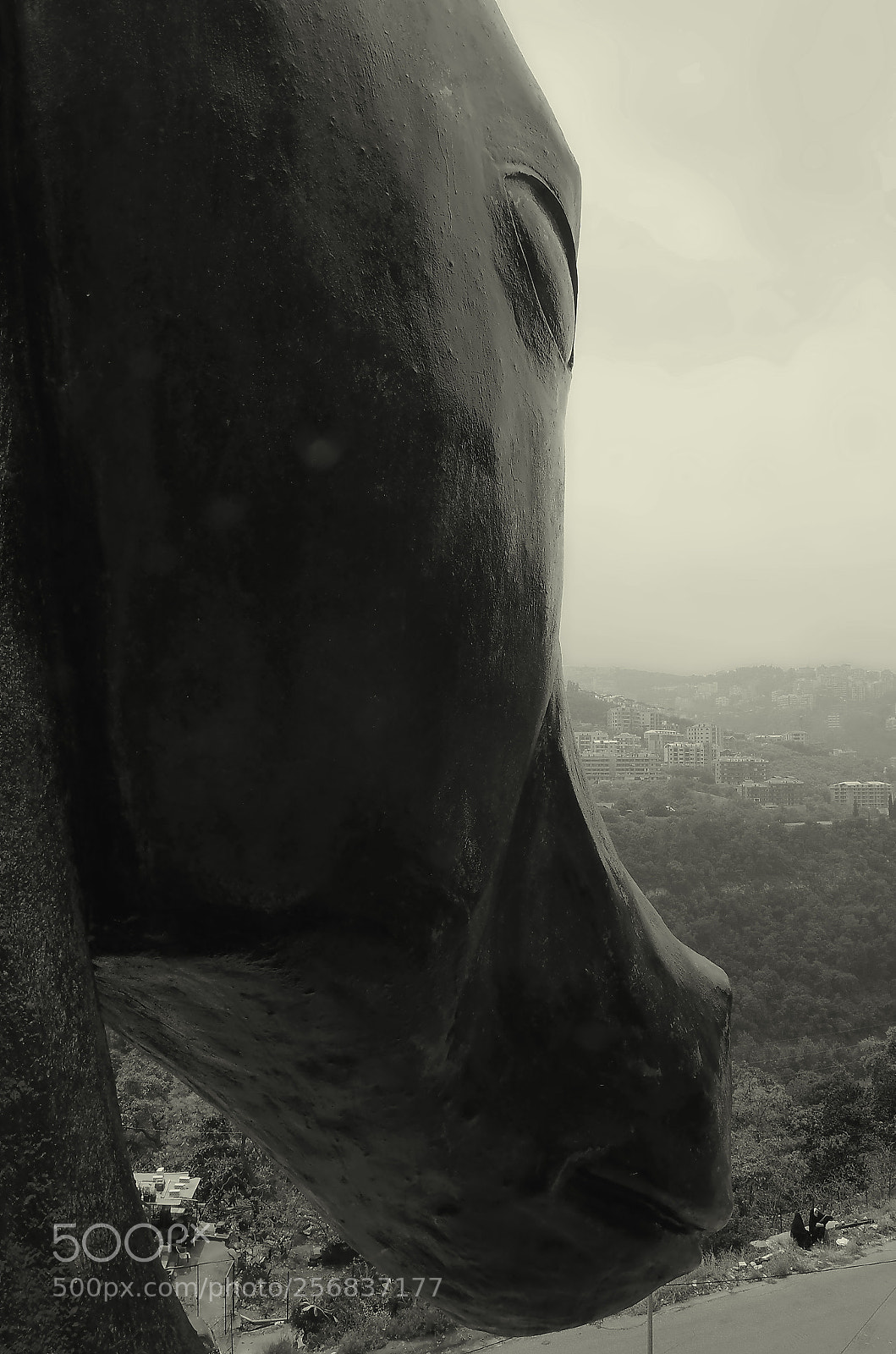 Nikon D7000 sample photo. Black horse photography