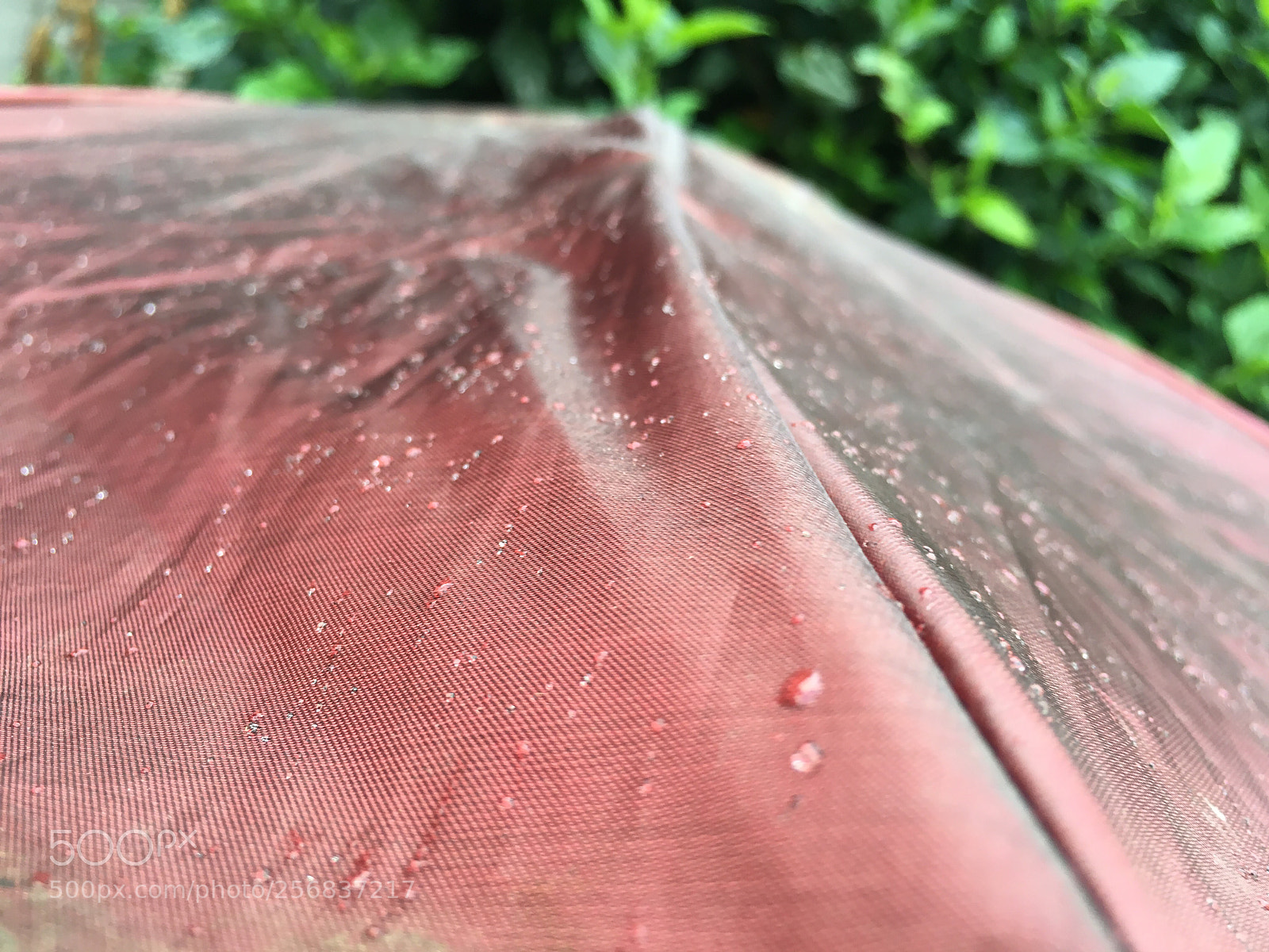 Apple iPhone 6s sample photo. Rain photography