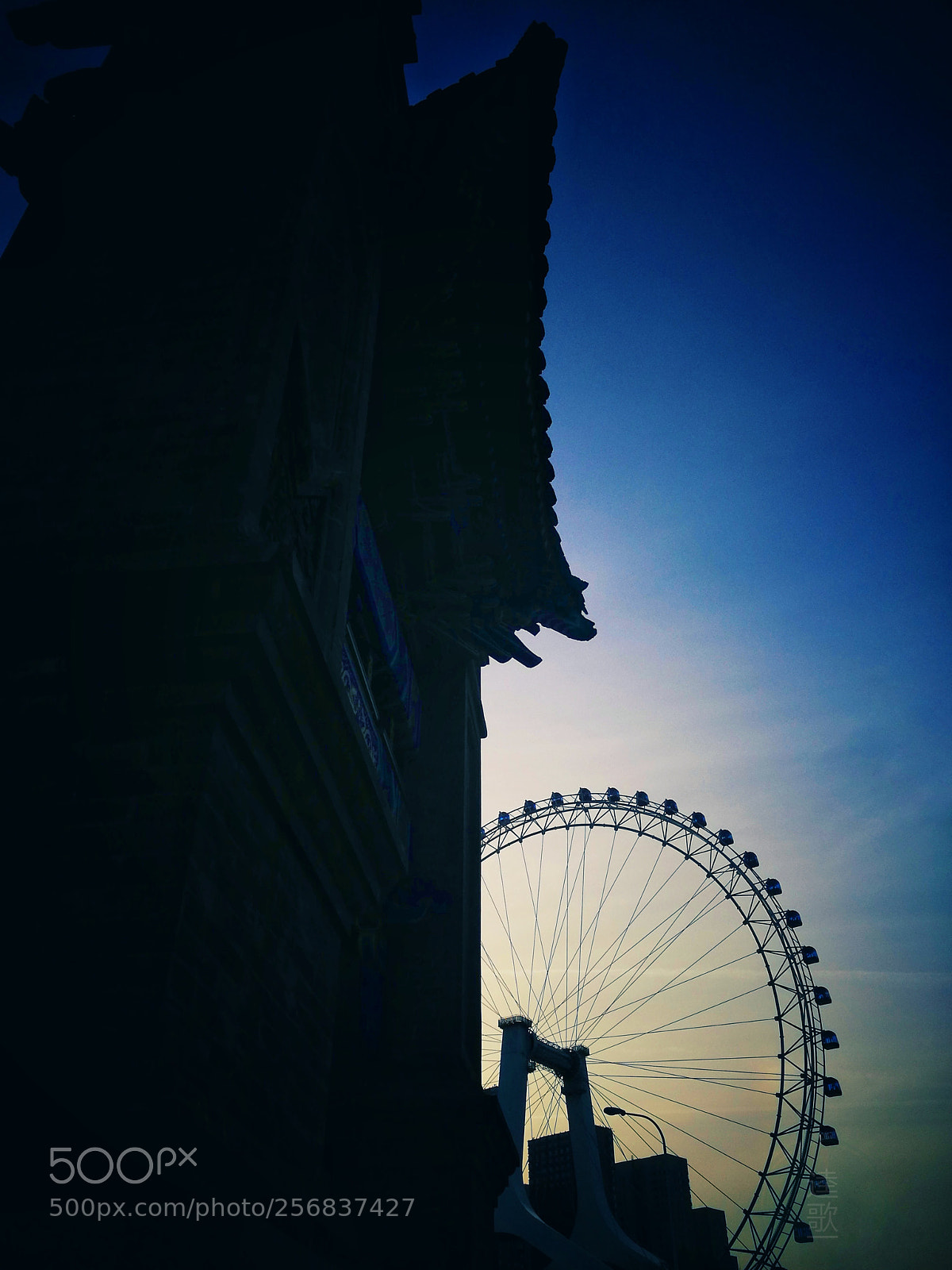 HUAWEI P9 sample photo. Untitled photography