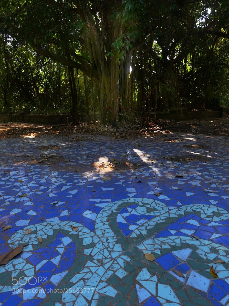 Panasonic Lumix DMC-GH4 sample photo. Sanur ...bali 9 photography