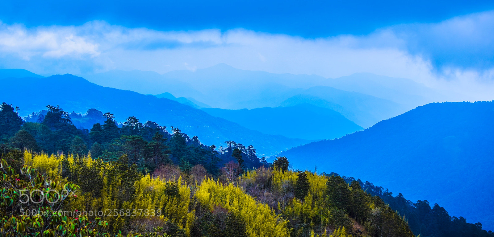 Nikon D3300 sample photo. Himalaya photography