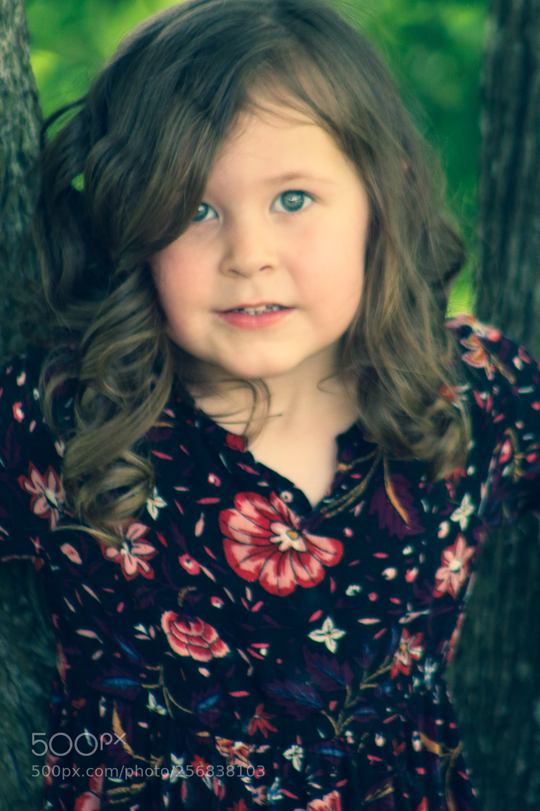 Canon EOS 70D sample photo. Img photography