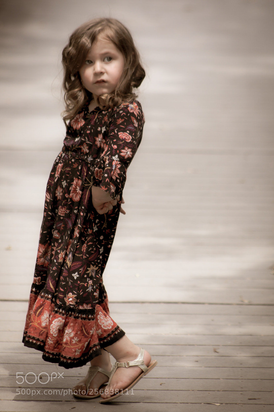 Canon EOS 70D sample photo. Img photography
